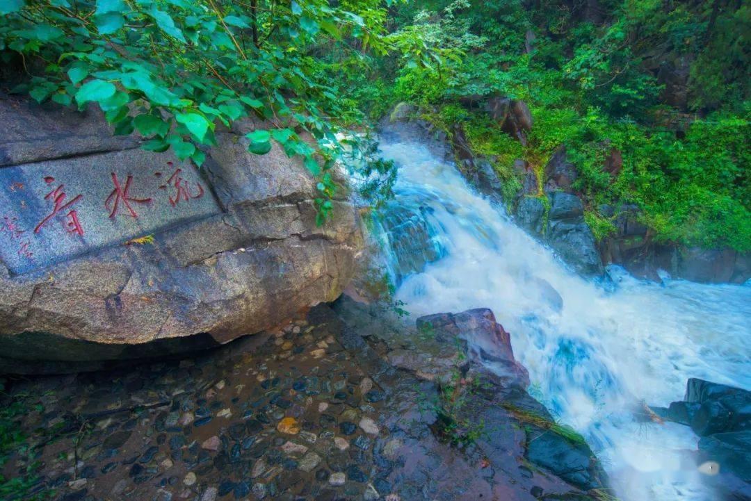 逃离水虎鱼湖